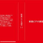 新裏ビデオ通信11